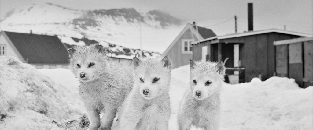 Photo: Ragnar Axelsson