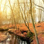 By photoangel