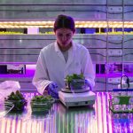 Launch of new vertical farm