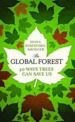 The Global Forest