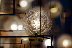 fragilefuture3resized