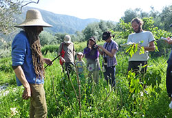 Permaculture Ras John Cresswell near Orgiva, Spain