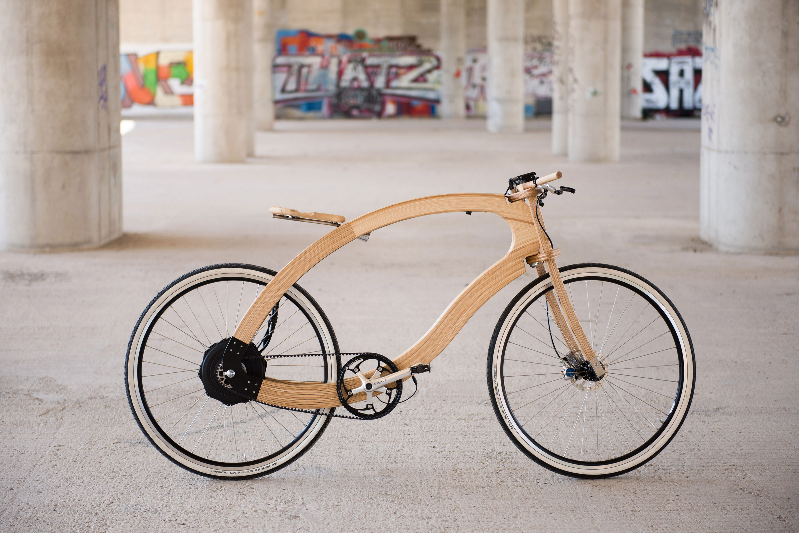 NewcomerMobility-EBike