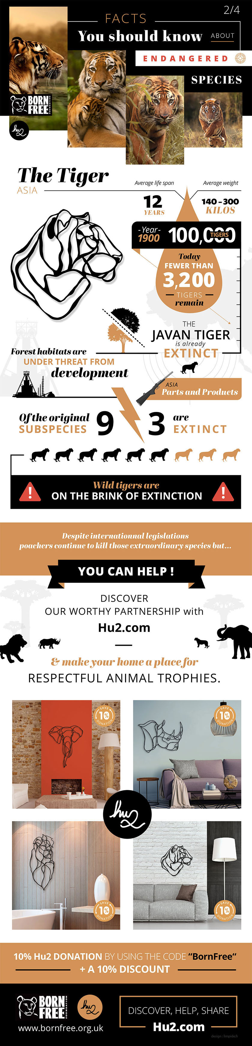 BF Infographic Tiger