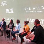 Conservation Collaboration