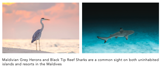 46e29fa86118ba9bc6dc8cb14ee160c33df17241